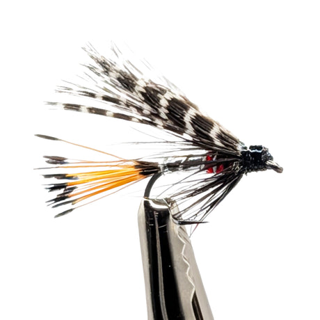 Peter Ross wet fly for trout fishing with silver body, red and yellow tail and classic wet fly profile