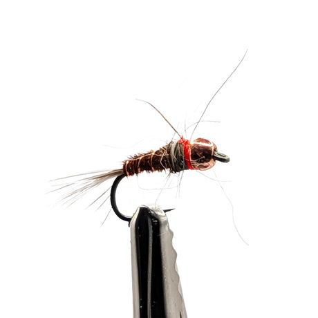 Macro close-up of Pheasant Tail tungsten bead nymph with copper bead and red neck