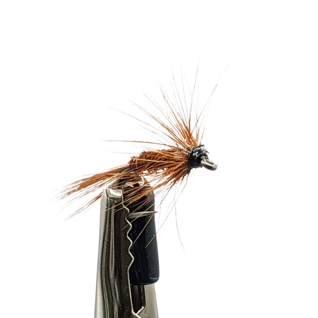 Fishing wet fly on a hook against a white background