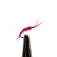 Pink scud nymph imitation for trout with ribbed body, shell back and natural shrimp profile