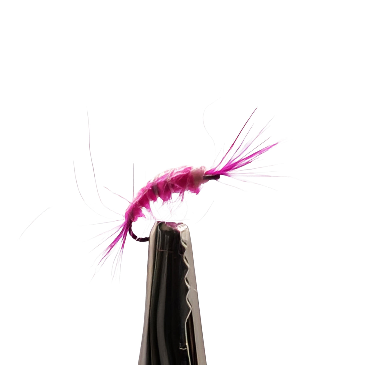 Pink scud nymph imitation for trout with ribbed body, shell back and natural shrimp profile