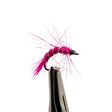 Macro close-up of pink shrimp nymph with ribbed body and shell back