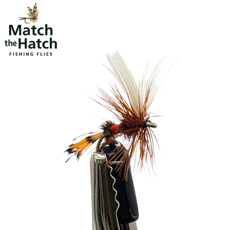 Royal Coachman Dry Fly