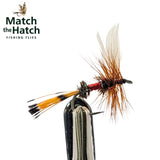 Royal Coachman Dry Fly