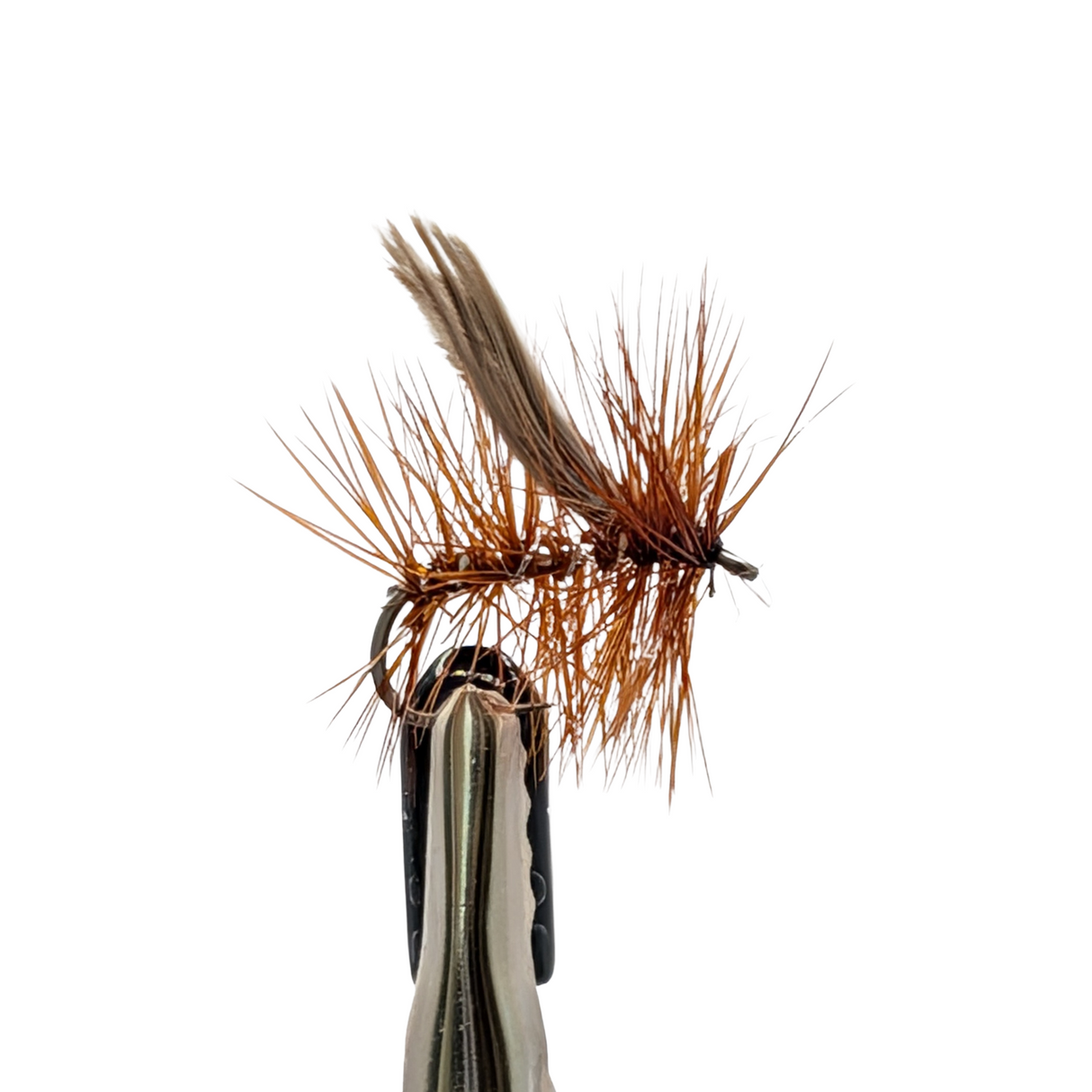 Silver Sedge dry fly trout pattern with silver body and deer hair wing
