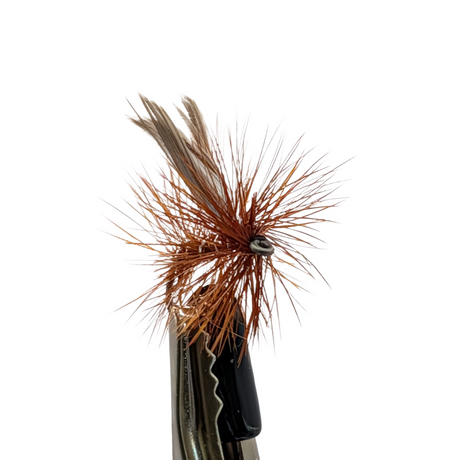 Silver Sedge dry fly trout pattern with silver body and deer hair wing close up
