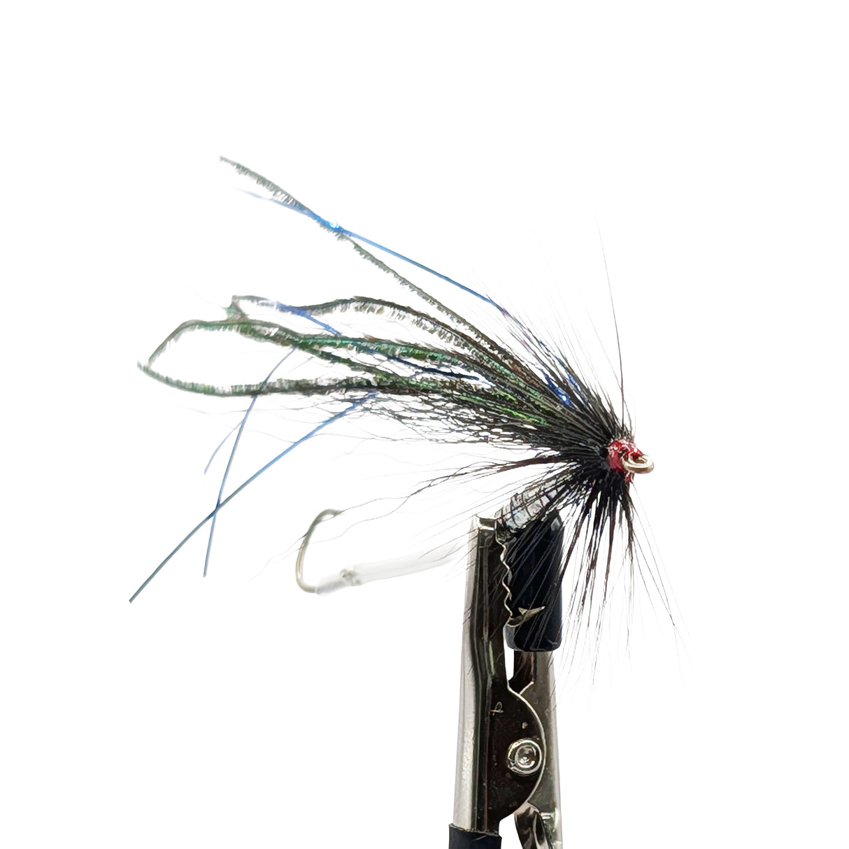 Fishing wet fly with detailed hackle on a white background