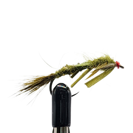 Fishing fly nymph with a black hook on a white background