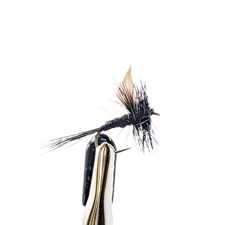 Fishing fly on a white background