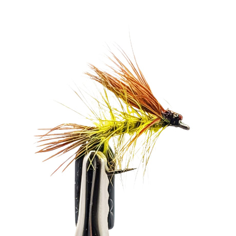 Fishing fly with brown and yellow feathers on a white background