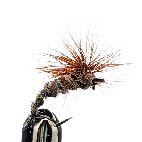 Close-up of a fly fishing fly with brown and black details on a white background