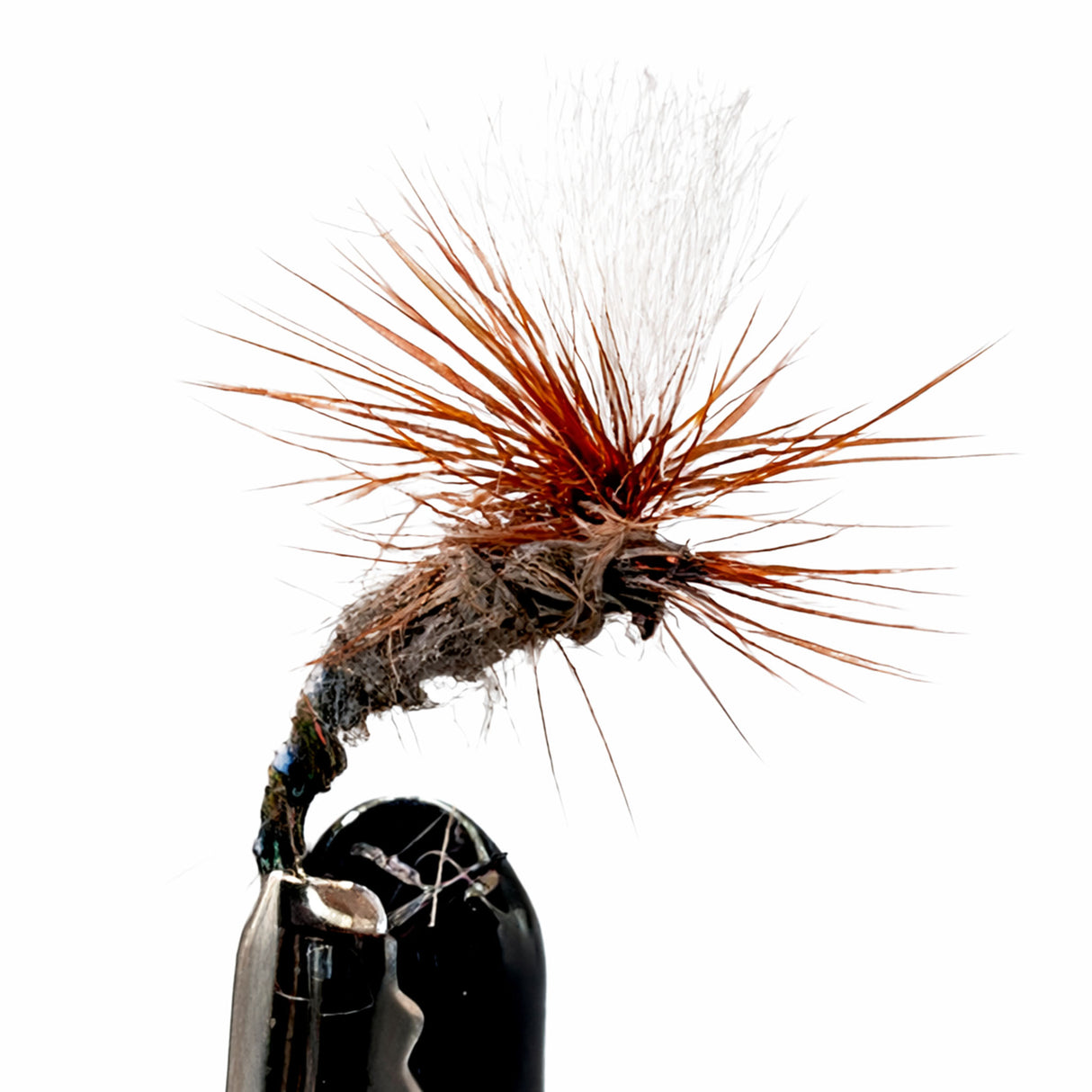 Fishing fly with orange and brown feathers on a white background