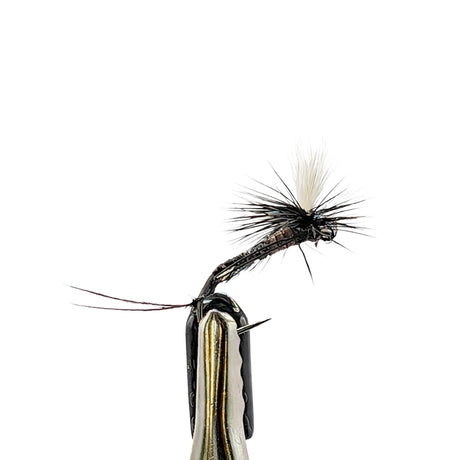 Fishing fly with black and white details on a white background