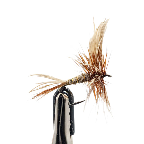 Fishing fly on a hook against a white background