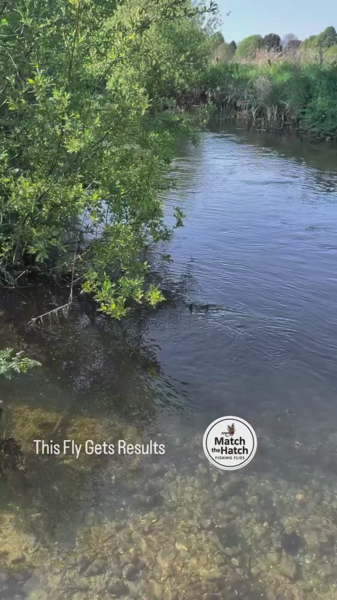 Hawthorn Parachute Dry Fly