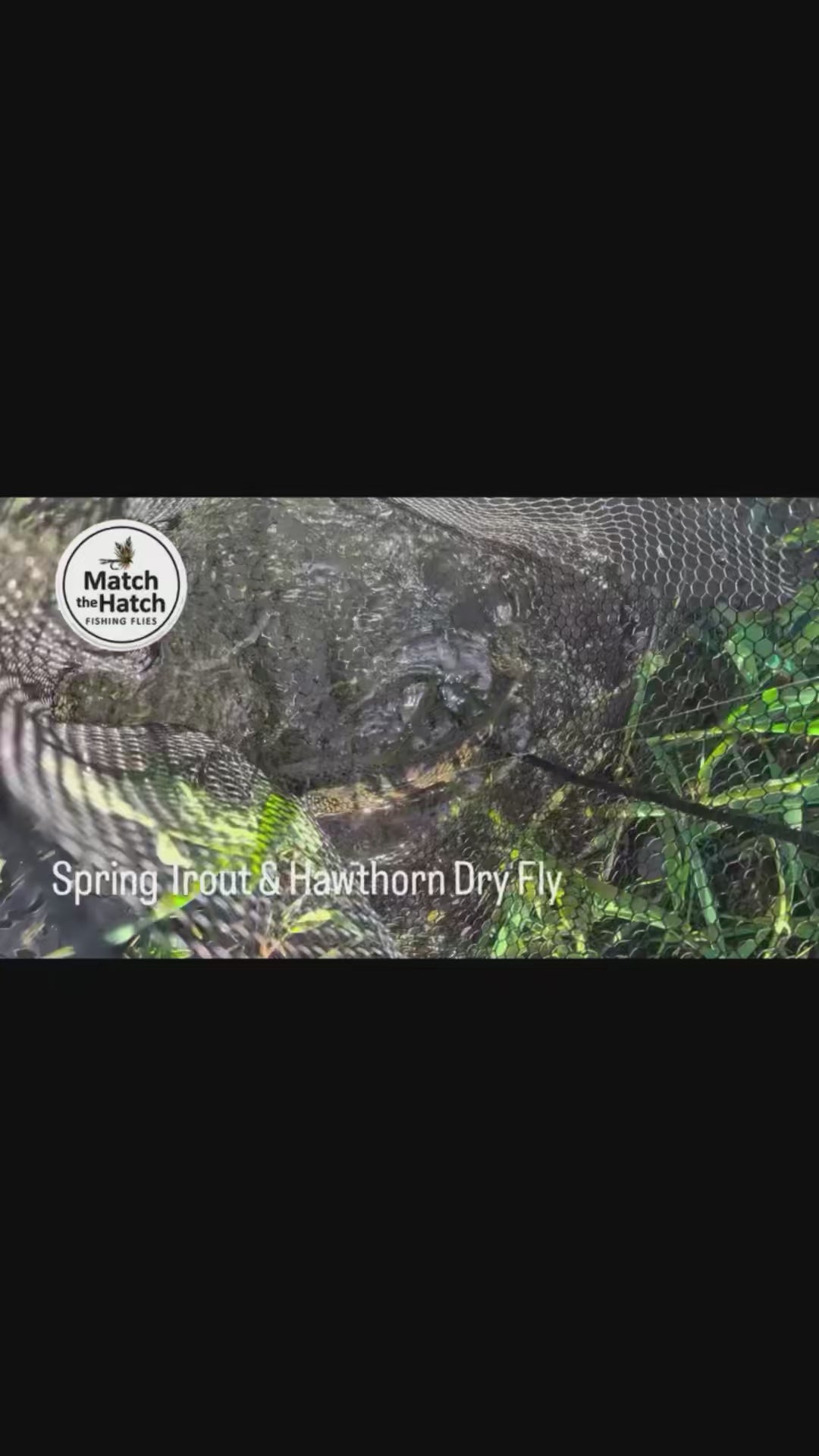 Hawthorn Parachute Dry Fly