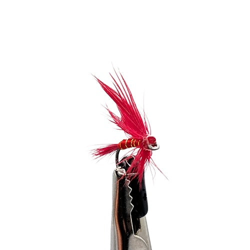 A close-up of a red cardinal fly fishing lure with bright red feathers.
